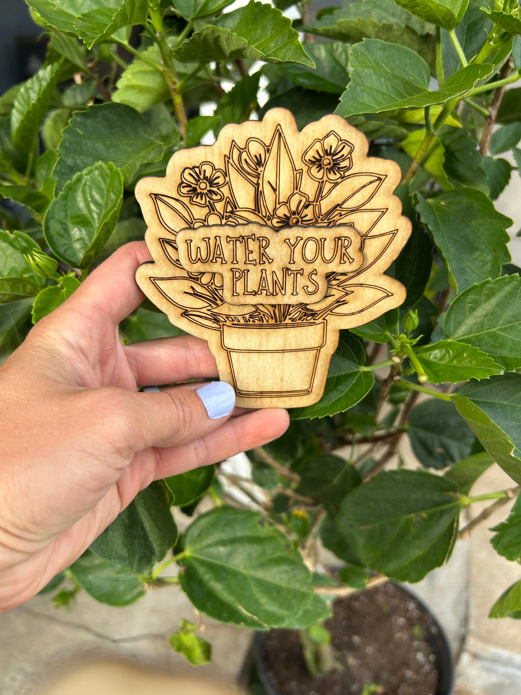 Water your Plants Reminder Fridge Magnet
