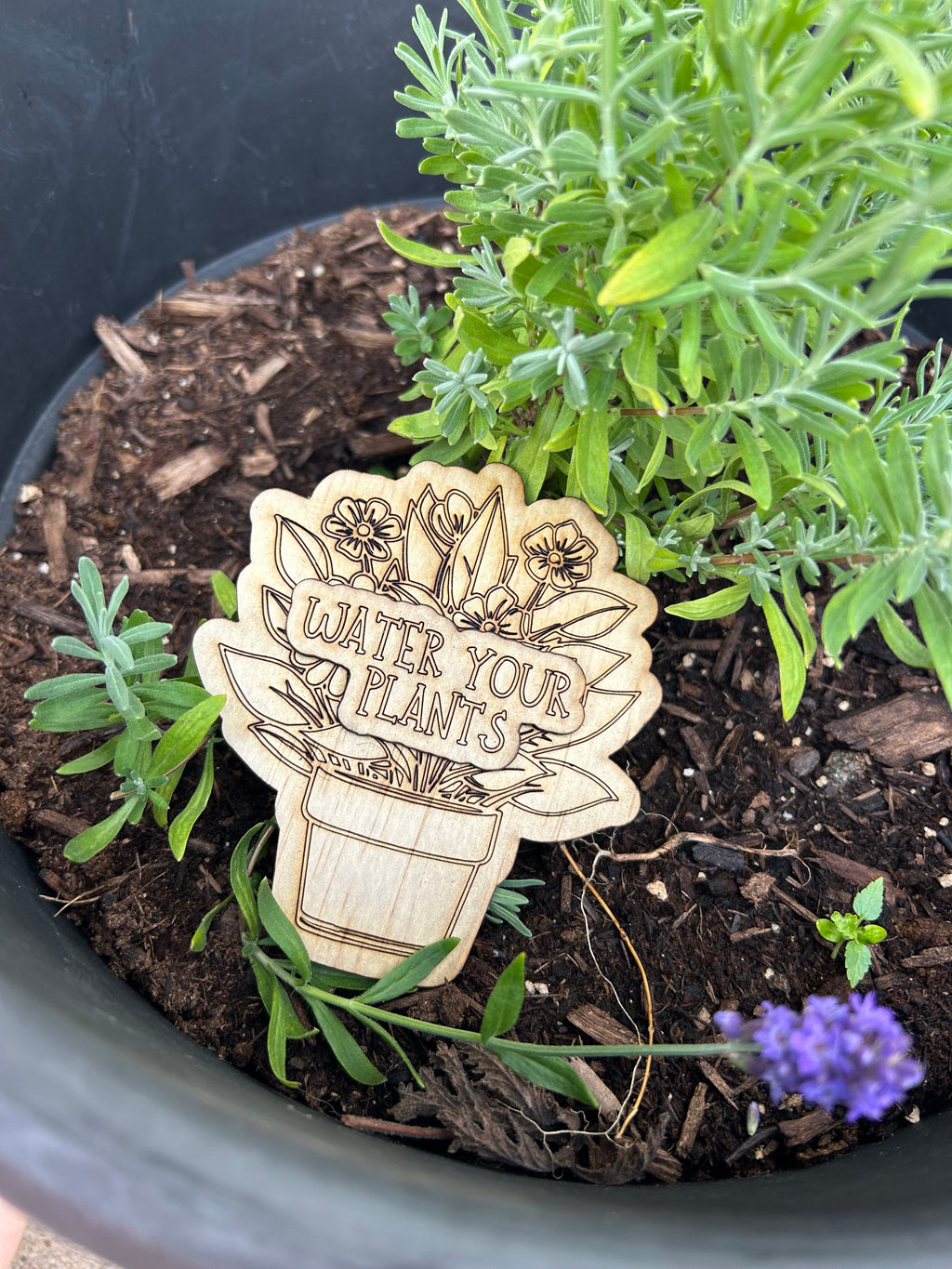 Water your Plants Reminder Fridge Magnet
