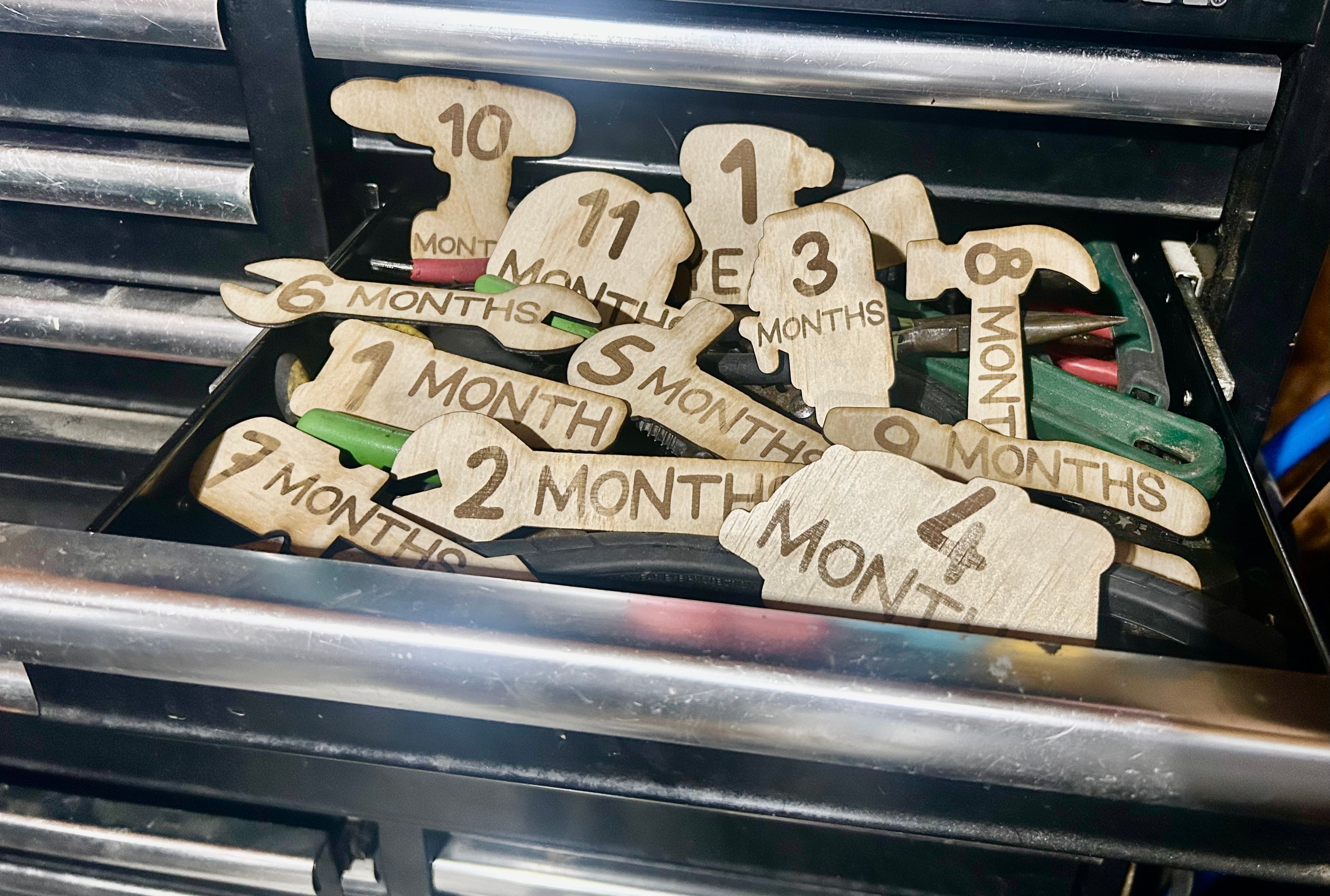Tools Baby Monthly Milestones