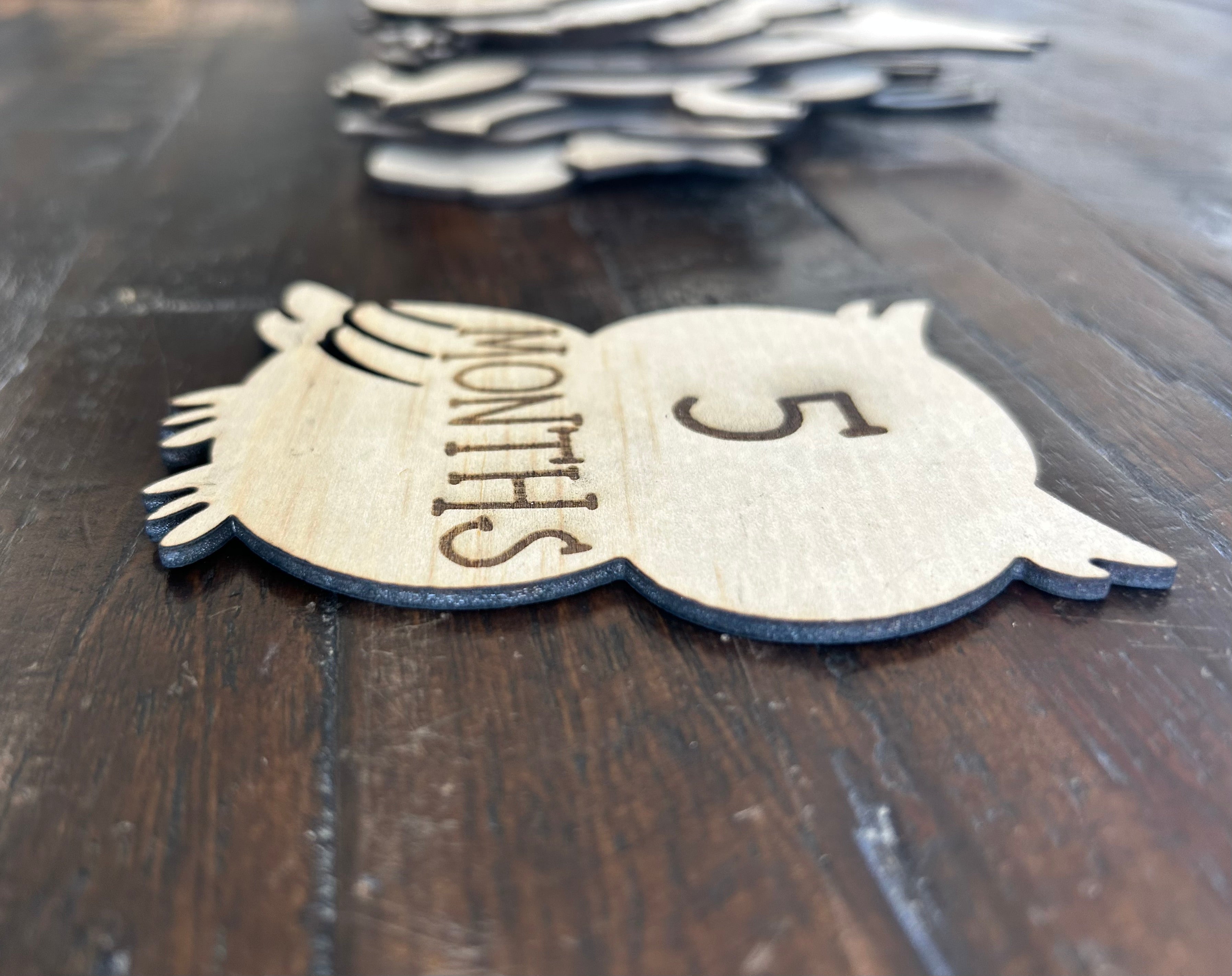 Woodland Baby Milestone Props