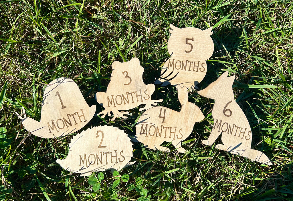 Woodland Baby Milestone Props