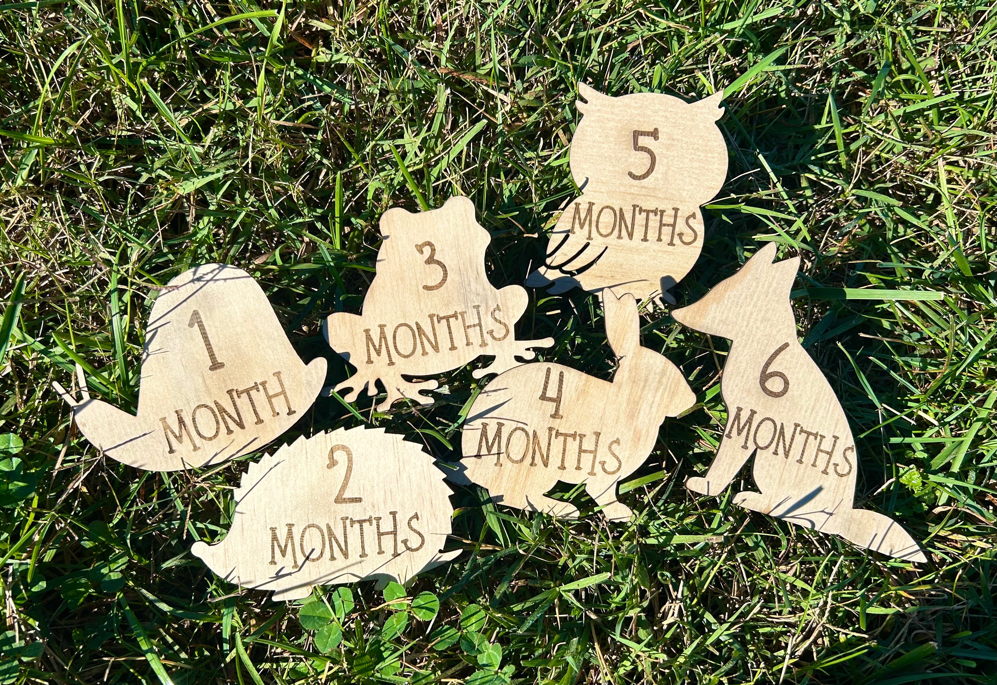Woodland Baby Milestone Props