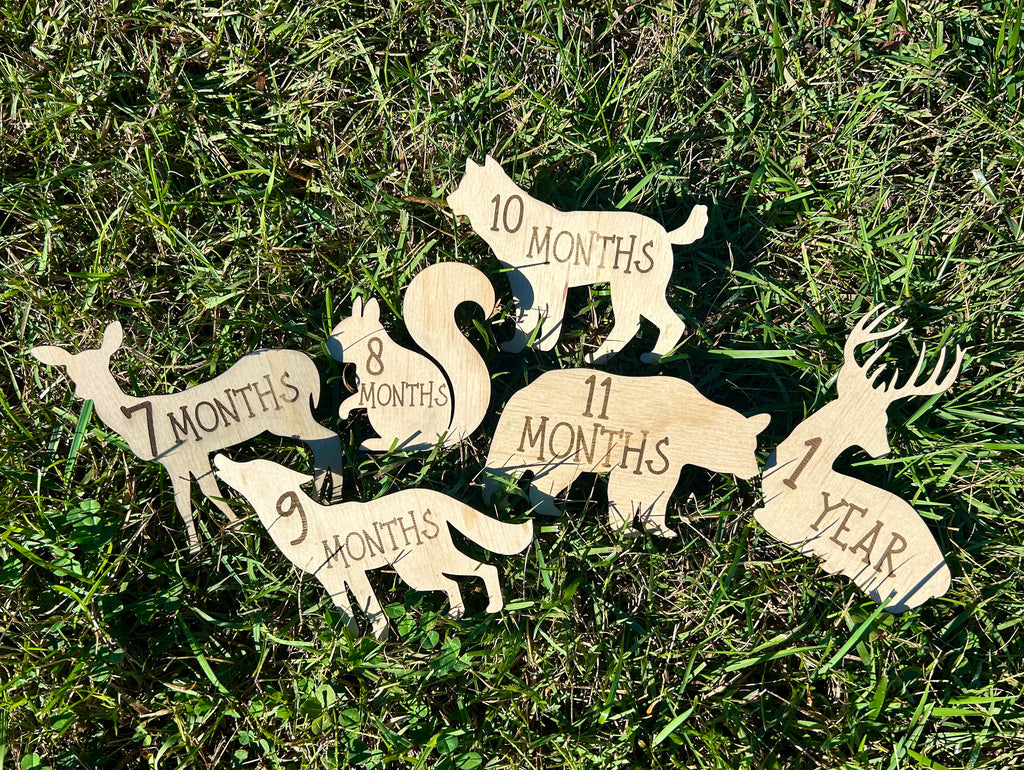 Woodland Baby Milestone Props
