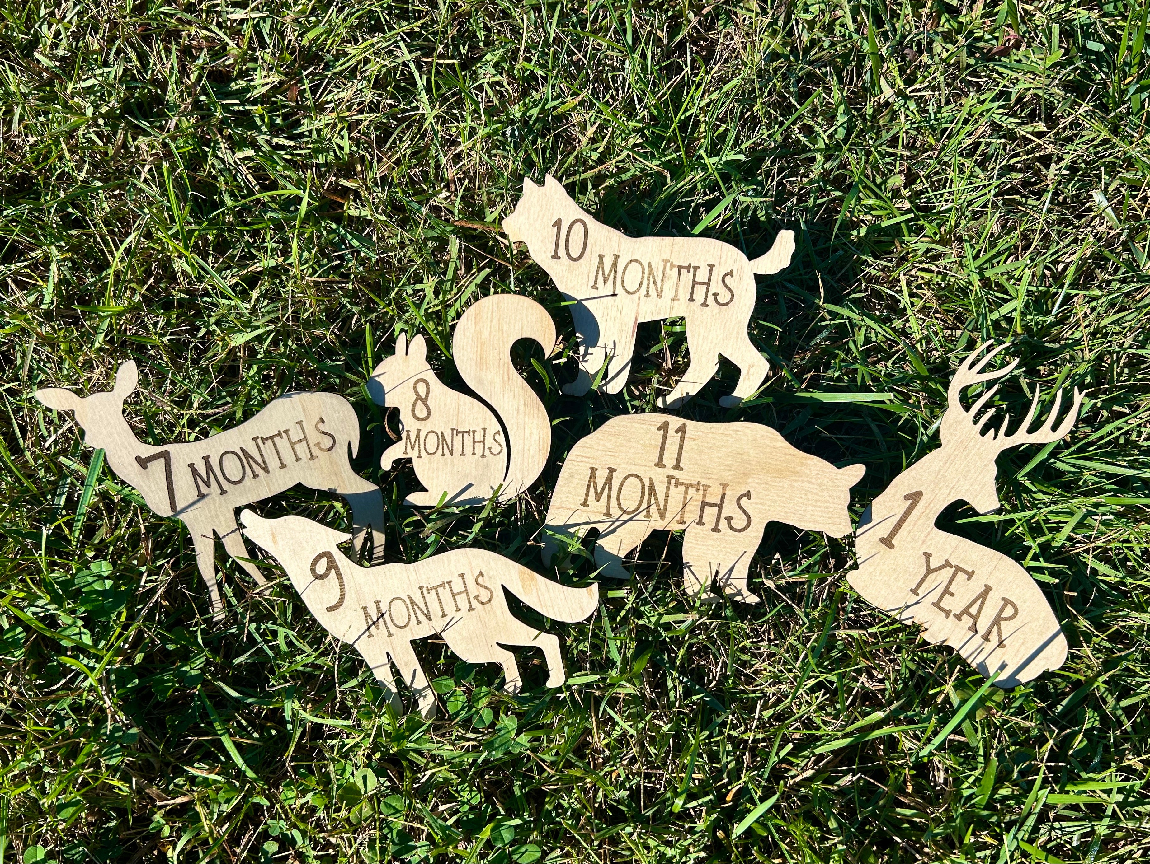 Woodland Baby Milestone Props