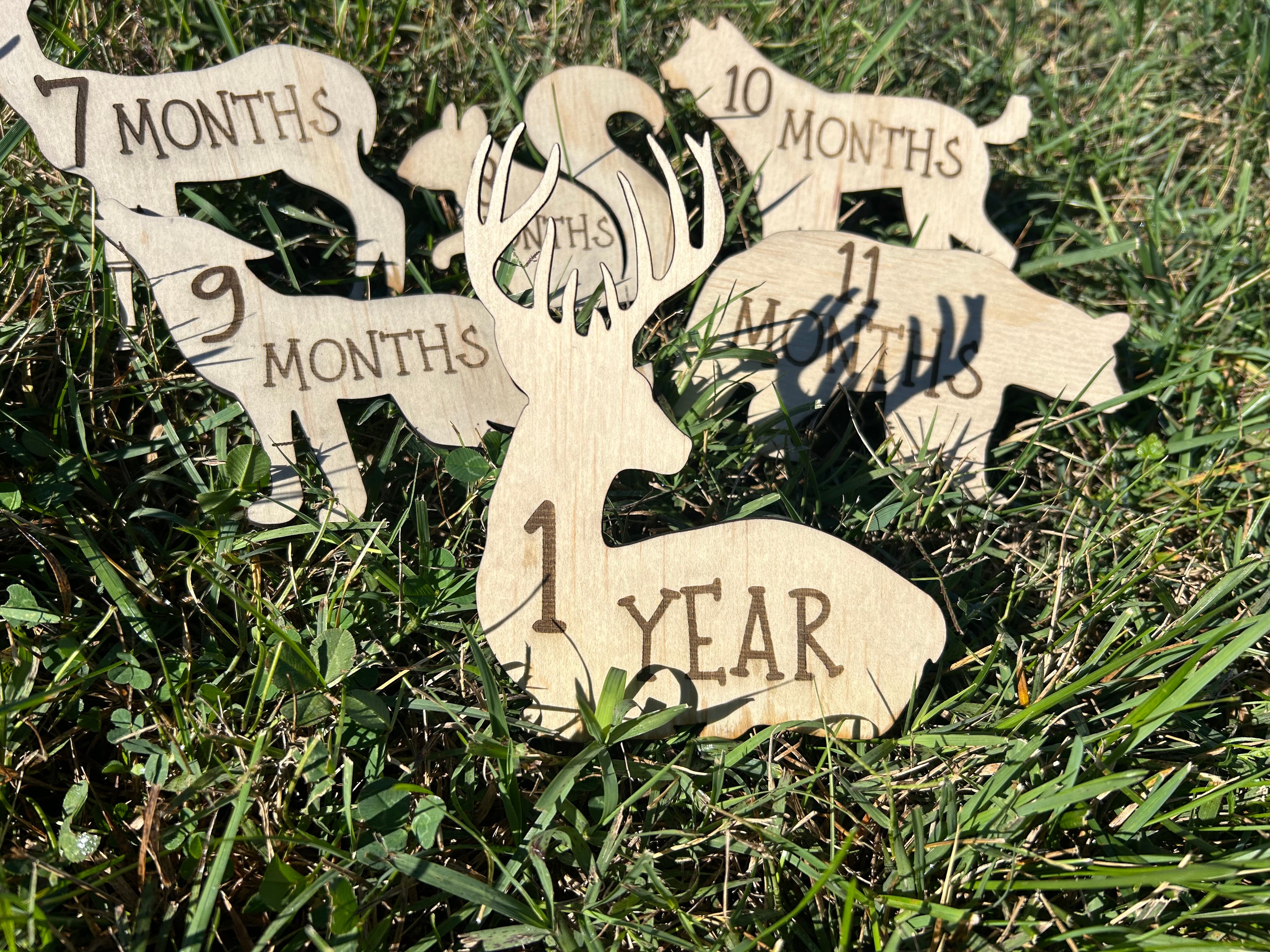 Woodland Baby Milestone Props