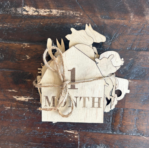 Farm Animal Baby Milestone Props