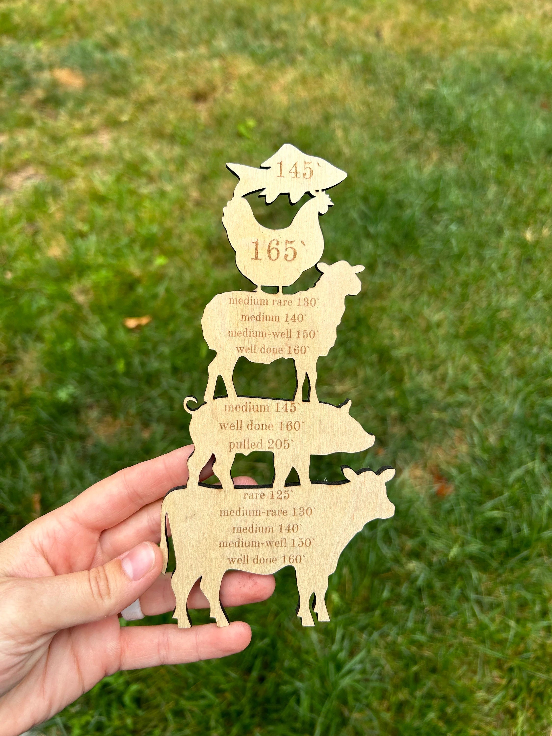 Meat Temperature Fridge Magnets